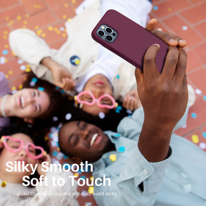 Liquid Silicone Case for iPhone 12 Series