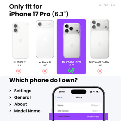 Magnetische abnehmbare Brieftaschenhülle für iPhone 17 Pro | Pro Max